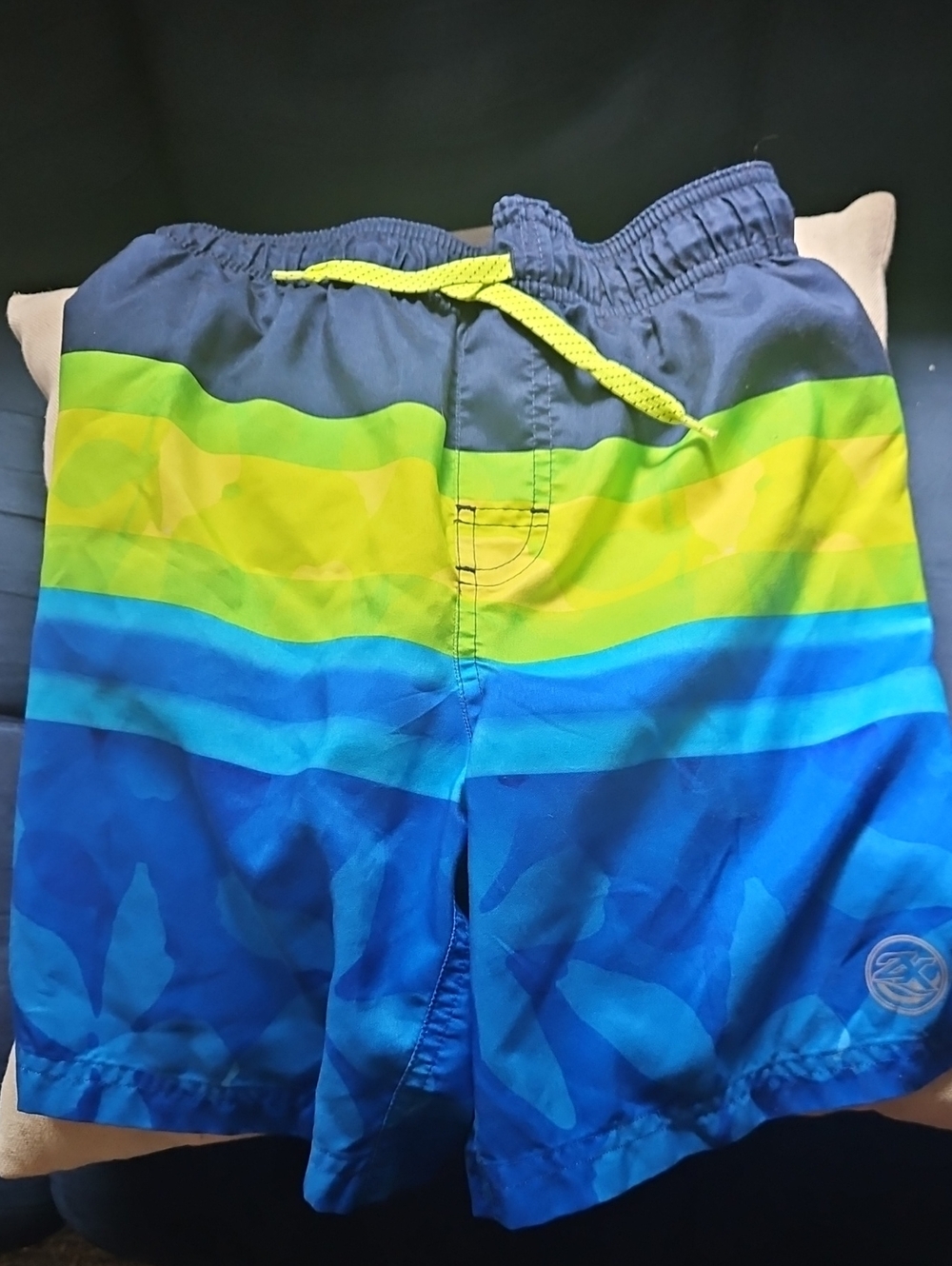 ZeroXposur Neon Yellow, Lime & Blue Striped Swim Shorts